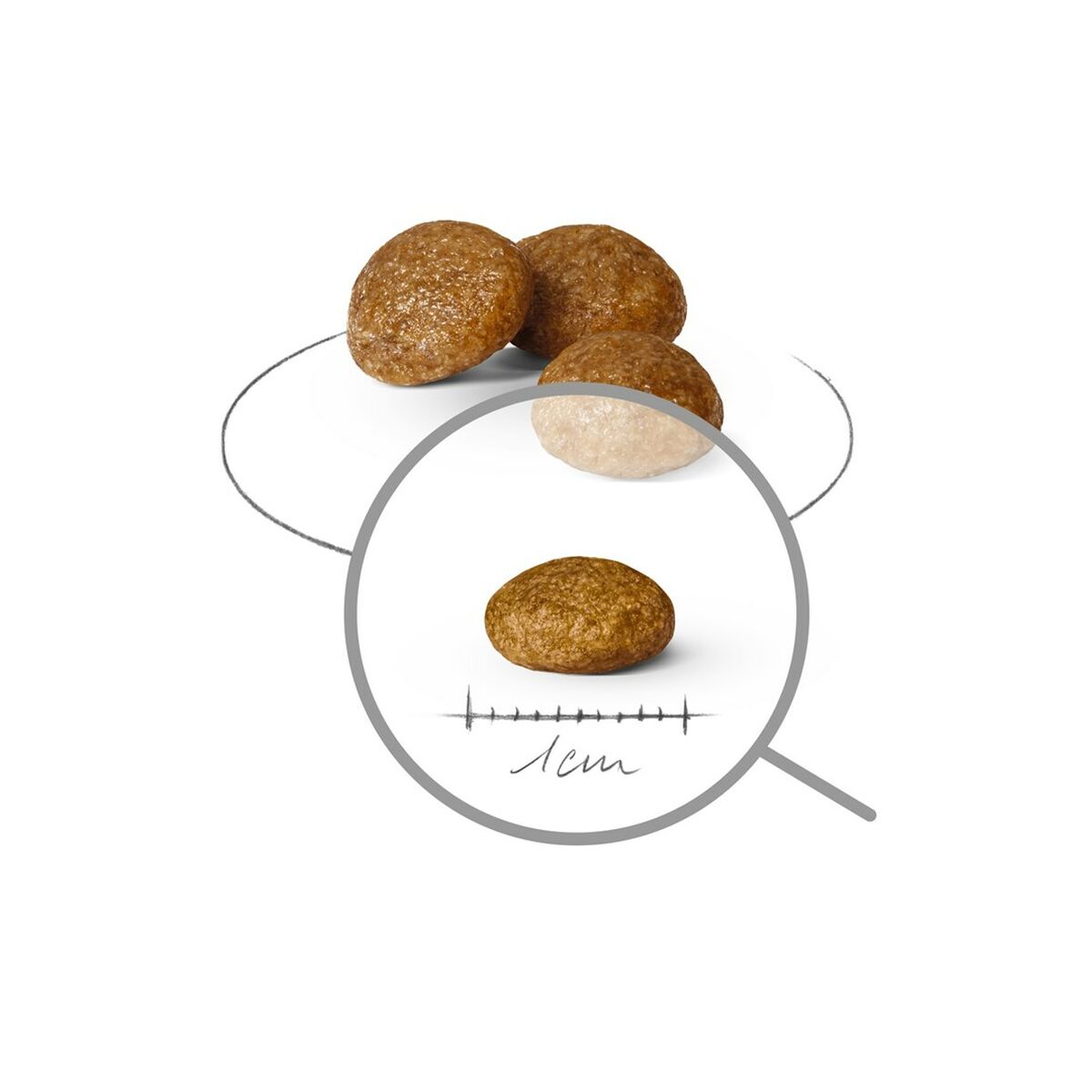 V3HB8A12ECD5E7ED783A69632E64D3DF63AR5624427P3