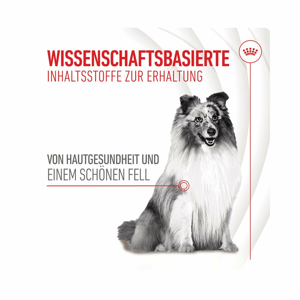 V3H33202975C2B25EB4DDF66A2DFF4892CFR6646633P7