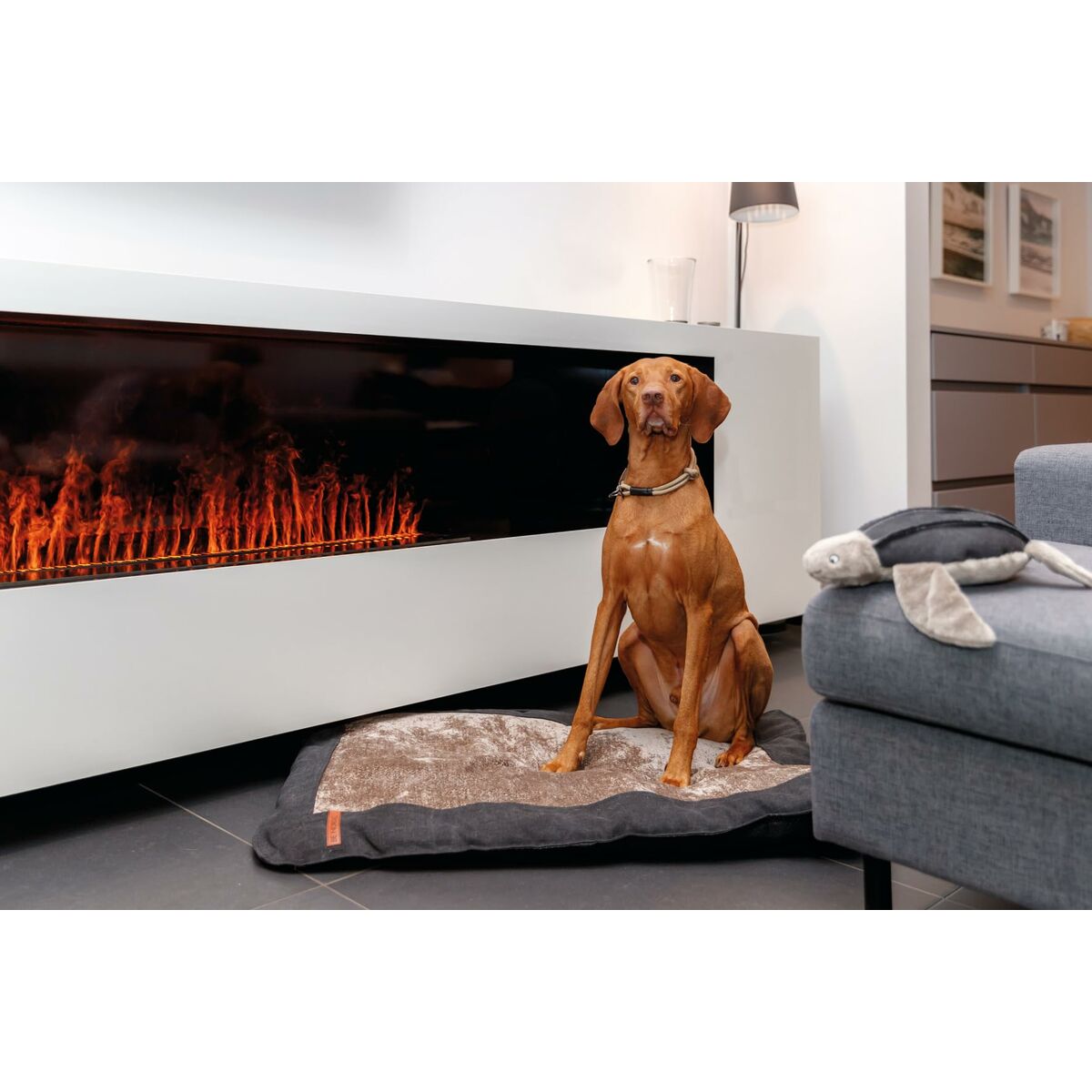 V5H83B54A80C6C8DD6B3B6CC65A96222994R5330487P4