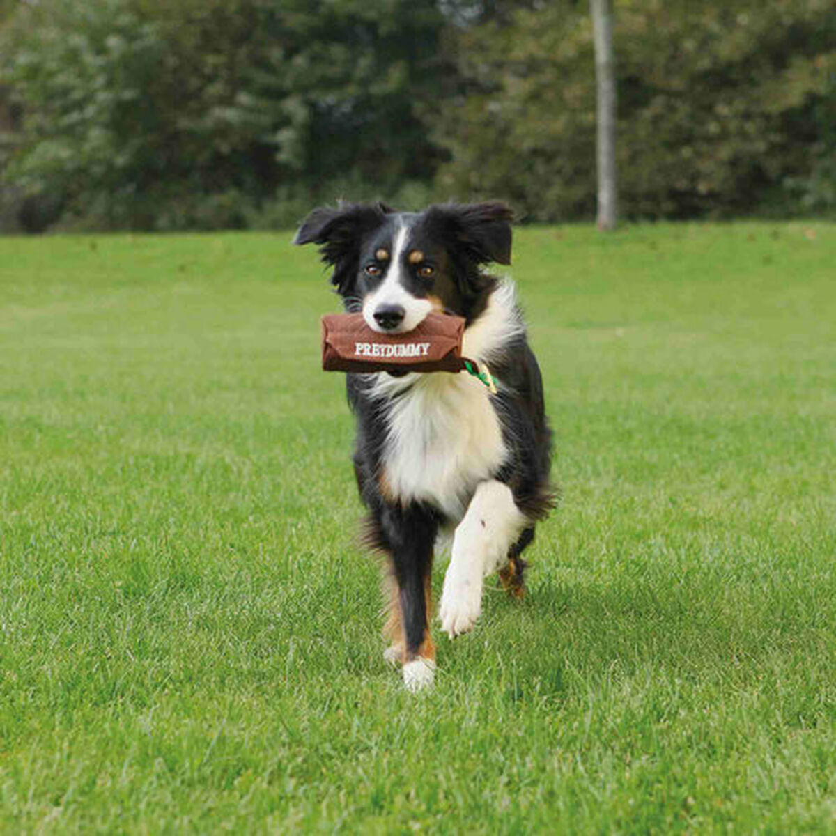 V6H1E9DABF7CF7218BCA076D7E04B01BBA8R7441141P4