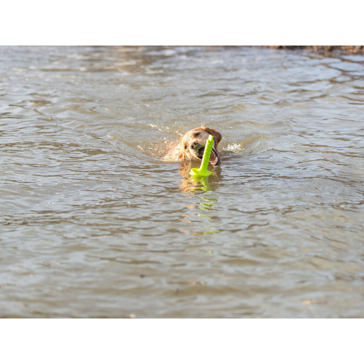 V6HD461802D8E9D4B9F6737655109C2538FR7443182P5