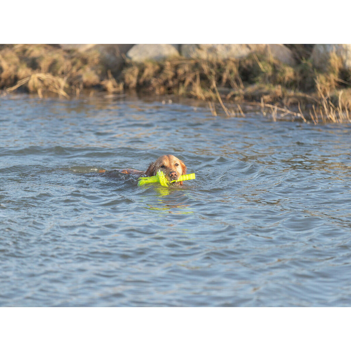 V6HFC1D36019B68C68AA5E751CD12E559D6R7443188P9