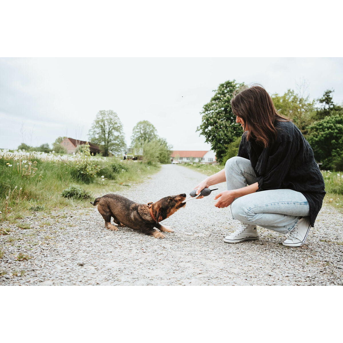 V3HE83D4BD6206717DE06B521DB3D7E1FFCR5574817P5