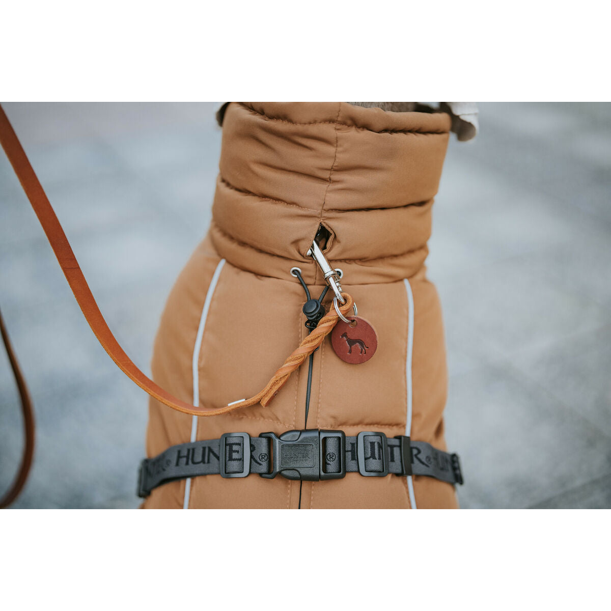 V3H74701FDBCF28B10A4D1BED8A46207C66R5575902P7