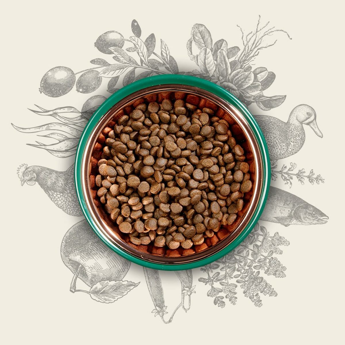 V3H012F617F635A9521386C21175BAD4B08R5624064P4