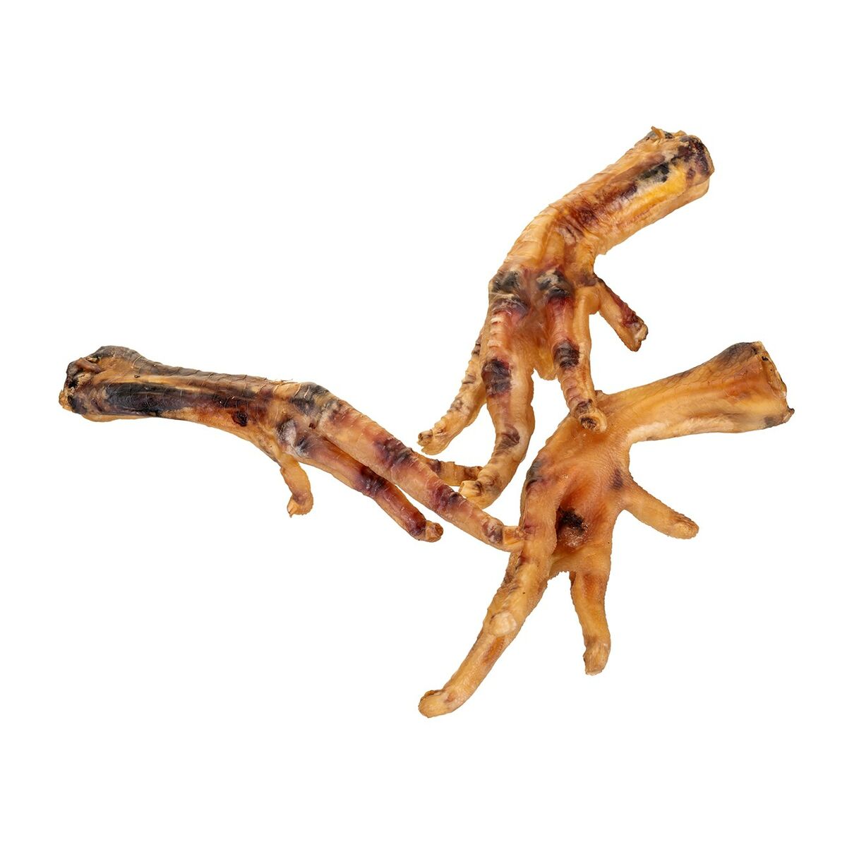 V3H039B0508A4EF26C8E383A6FE461FAC5ER6245296P6