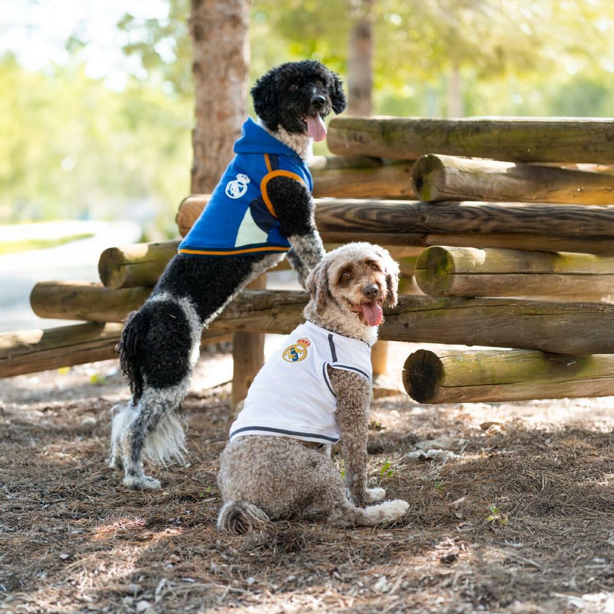 V3HDCDFAA1EC60D3E0B071A4E59AC1CC30ER6446066P4