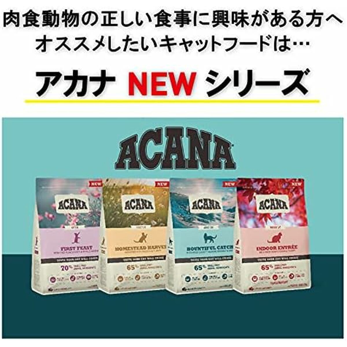 V3H2AF8F755550483279A2C4CFFD224976BR6646836P9