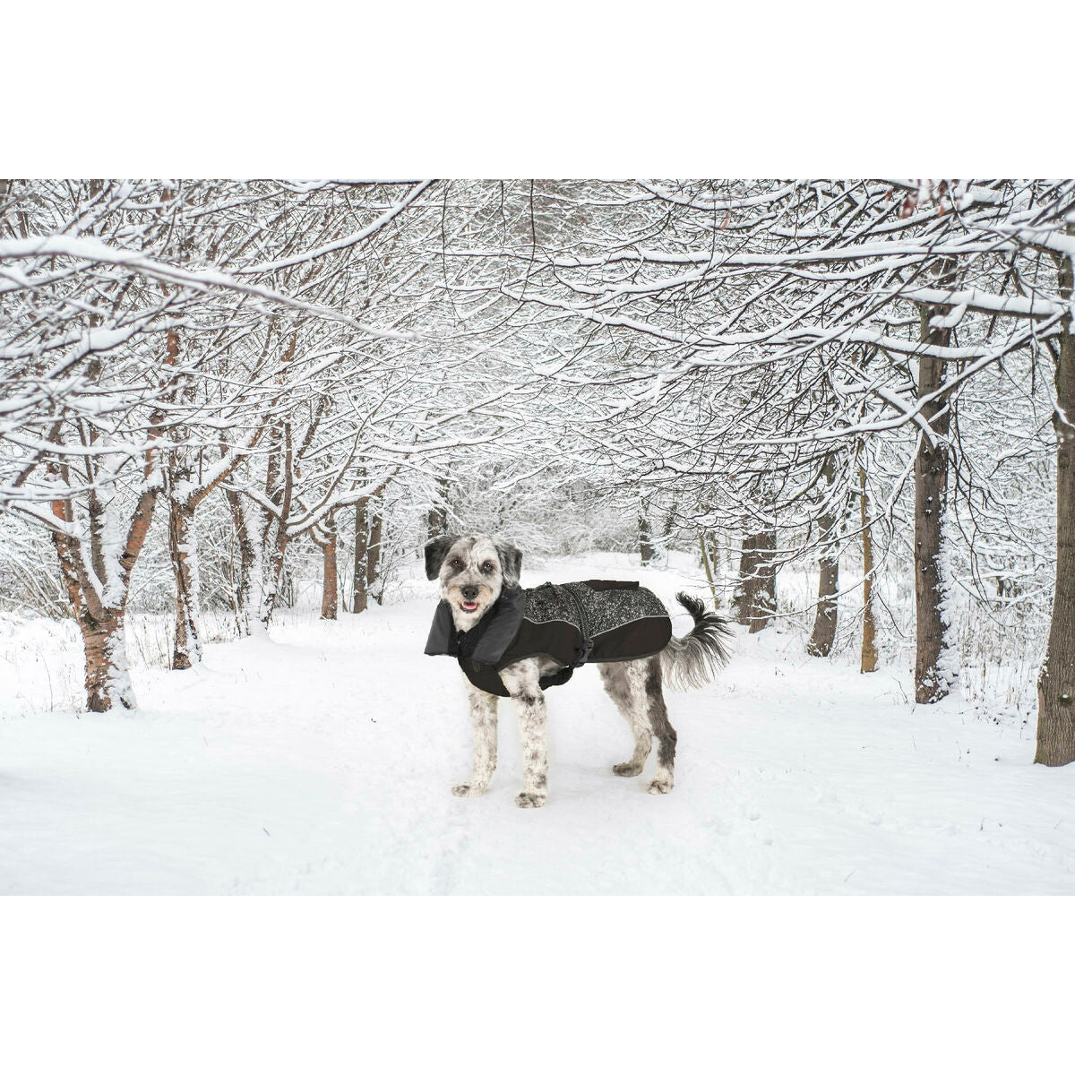 V4HBDF117C76460A2BD5842C757FC92A43AR5332420P8