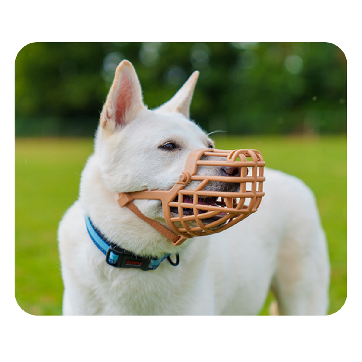 V4H6CF09E253F3A5569A70DFFA7B2702709R5327567P3