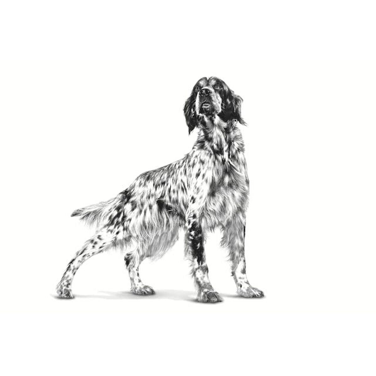 V4HF9E76E1422B11AB95579973649C52D87R5375090P3