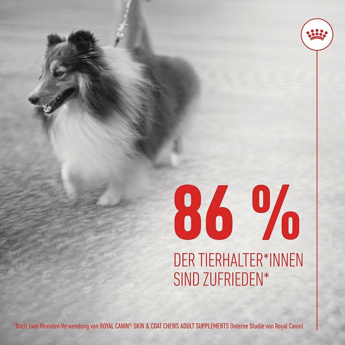 V3H59186CD82F3221A2A499456E2E496A0FR6646637P8