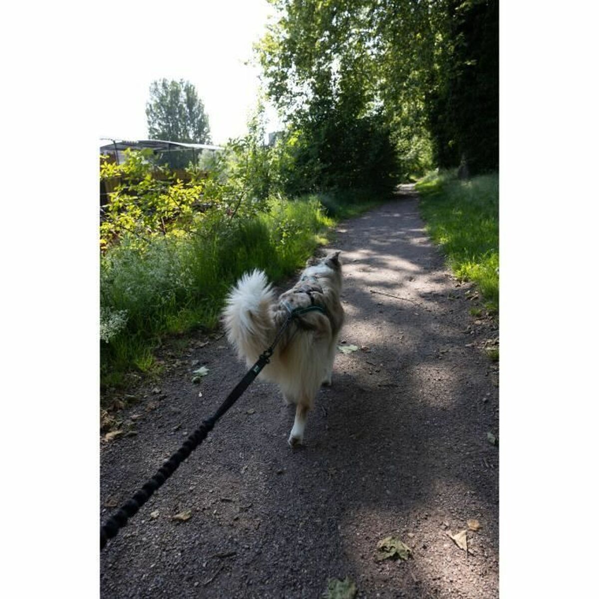 V3H0C76A94D5F695560EC47330A8463D1ACR5776760P4