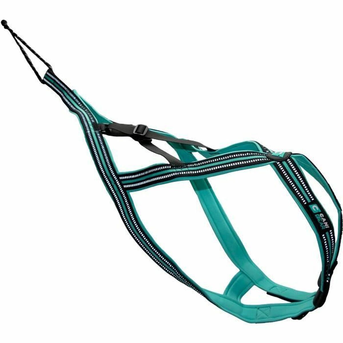 V4H6EFE86E69F803840DF8A9D190A64434FR5293618P2