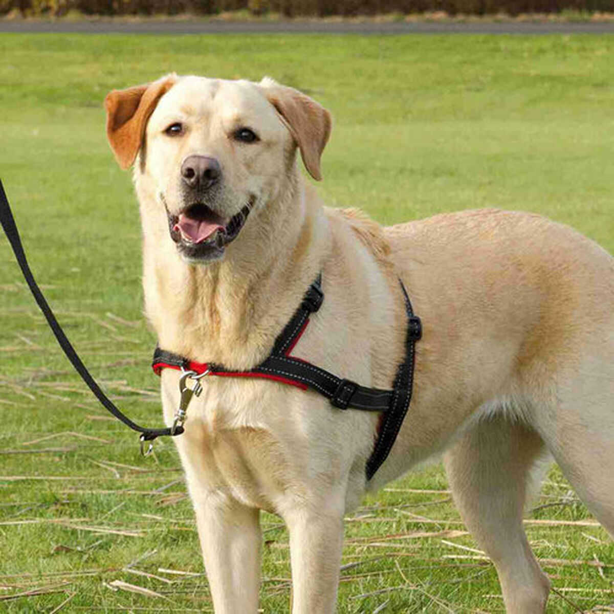 V6H0DCCEF46036F53BDC0AB316BA27FD48ER7441876P8