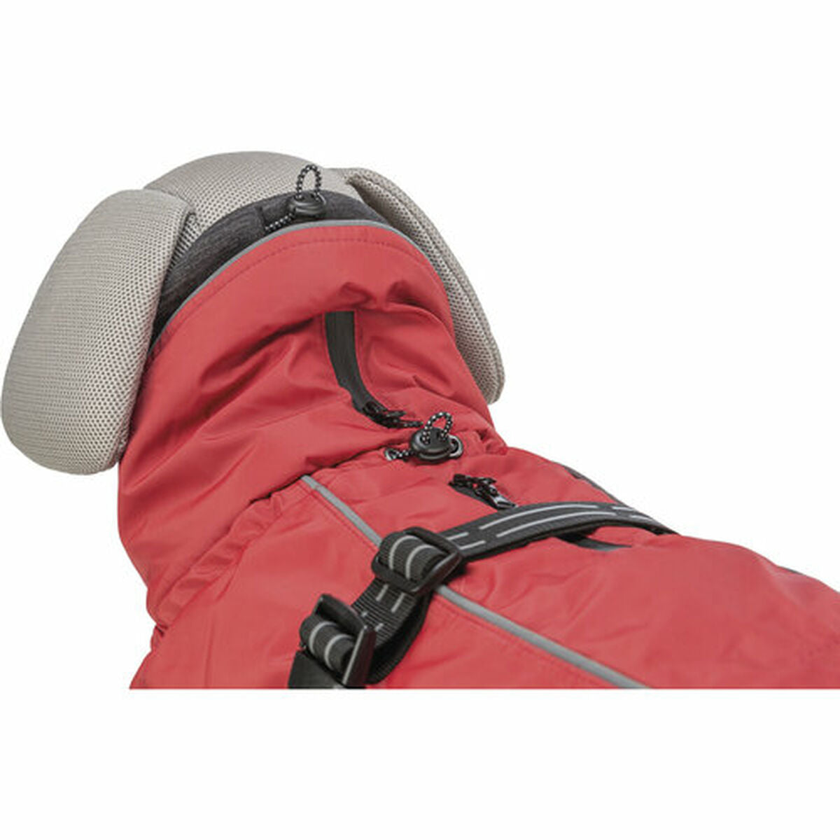 V5HE1366127B1A4170645B1E64A3F94F9E4R7463087P10