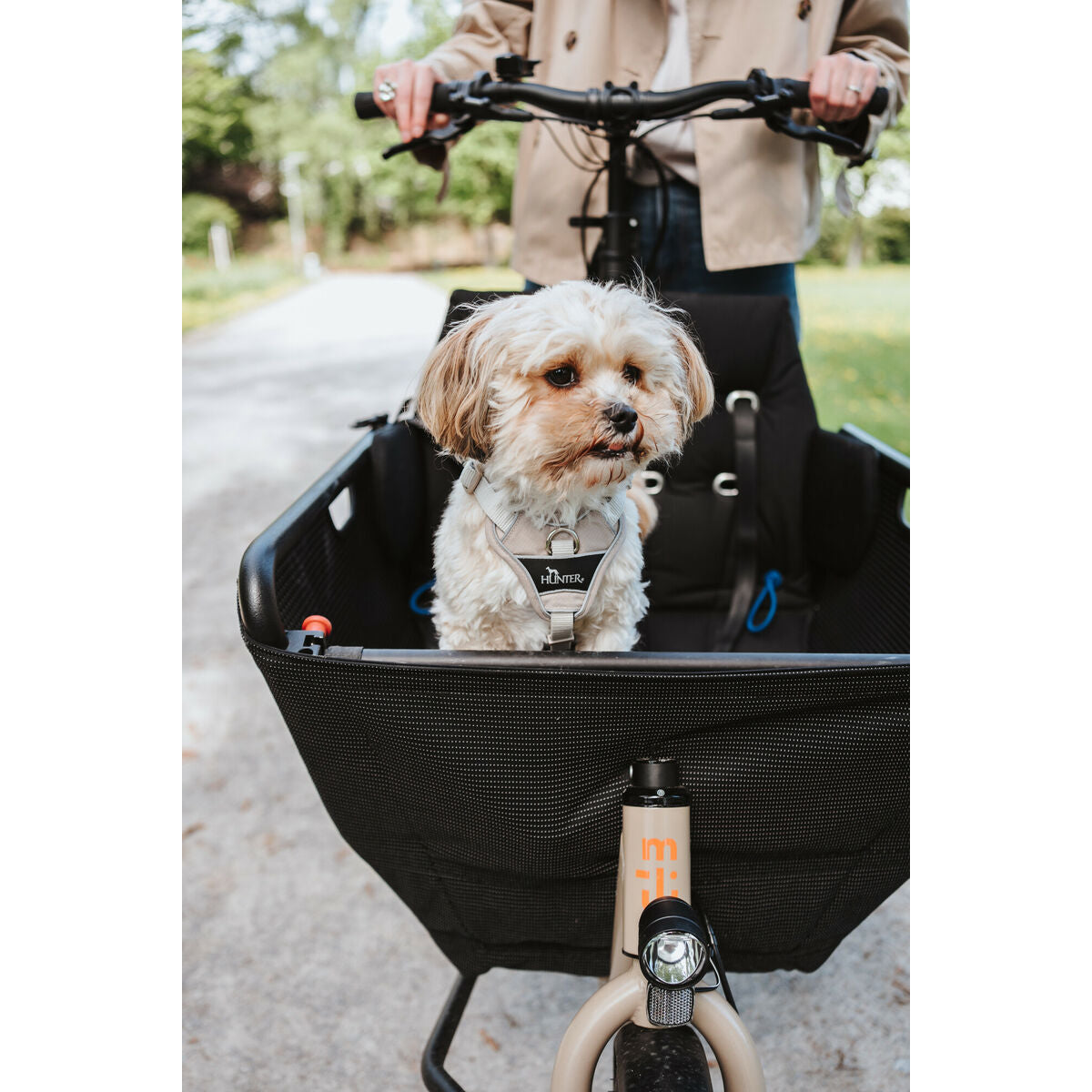 V3H968755901F7FB071EEBE55E10377361ER5575621P7