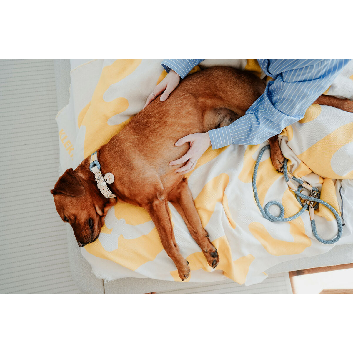 V3HA36CE0A4C56D1552476776BA20D4B77CR5575454P6