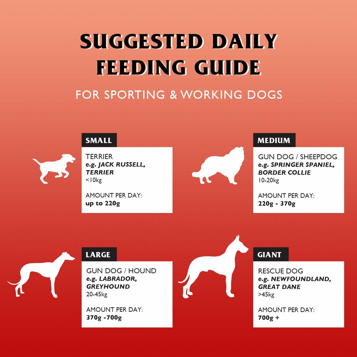 V3HB8346FBD718FD1E88BCD9F7A51A5ED13R6450385P5