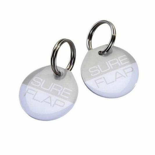 V5H6F79A77FCA4B8F0675D088B6A163626DR4094993P1