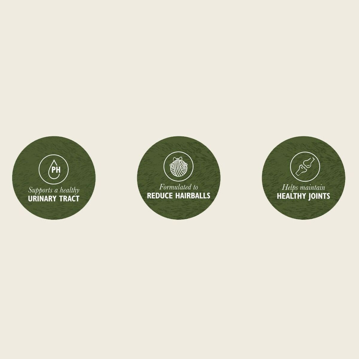 V3H53A871D99AE913B8E1381412893ABCABR5624083P5