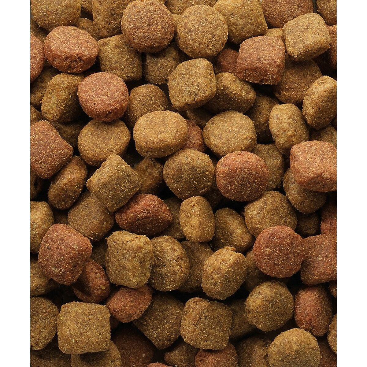 V5HA18C1602A85C2E5D11202C0C24221BEFR3957906P2