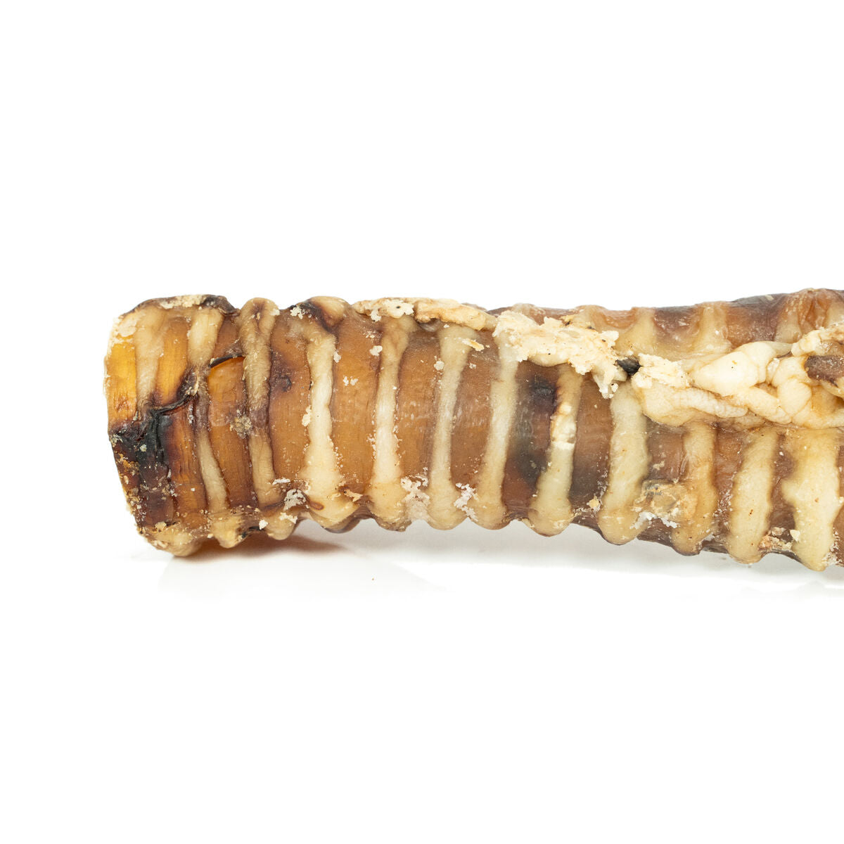 V4HE8FB61C03B25AE2B7AF6A77B0D2455E0R4975263P4