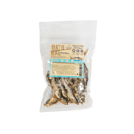 V3H3A76BB76A06370A455221C05E4A49EDER5292951P1