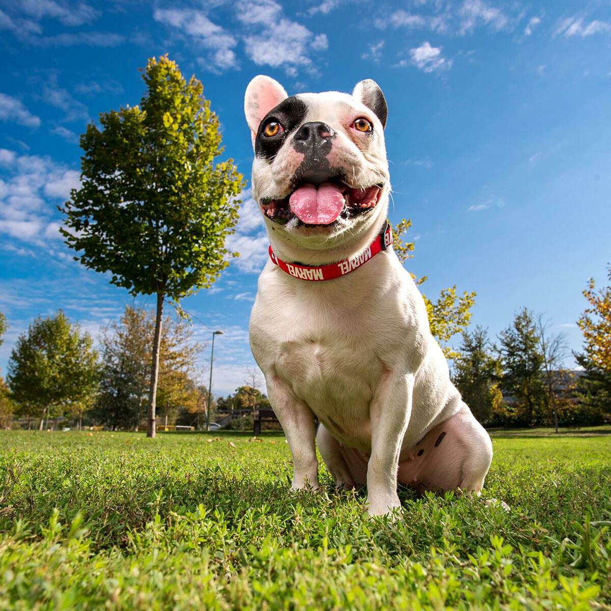 V8H79A2B6412EE40AF8ED6B236283B790AAR6446917P7